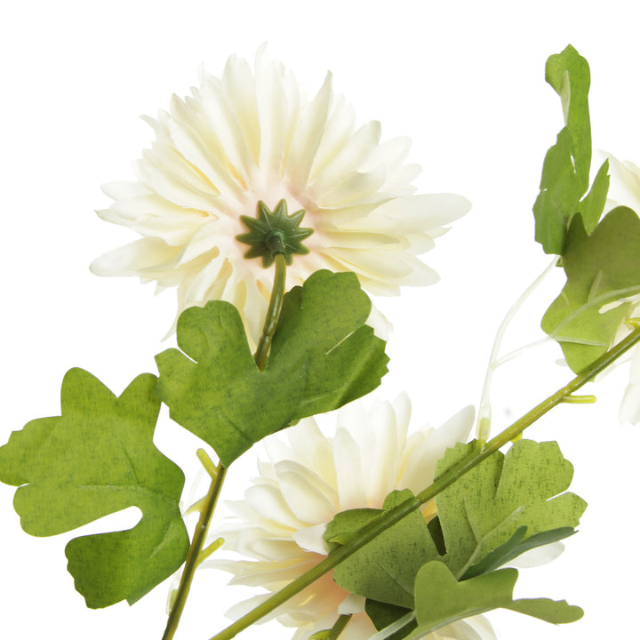 Champagne Chrysanthemum Flower Spray Back Detail
