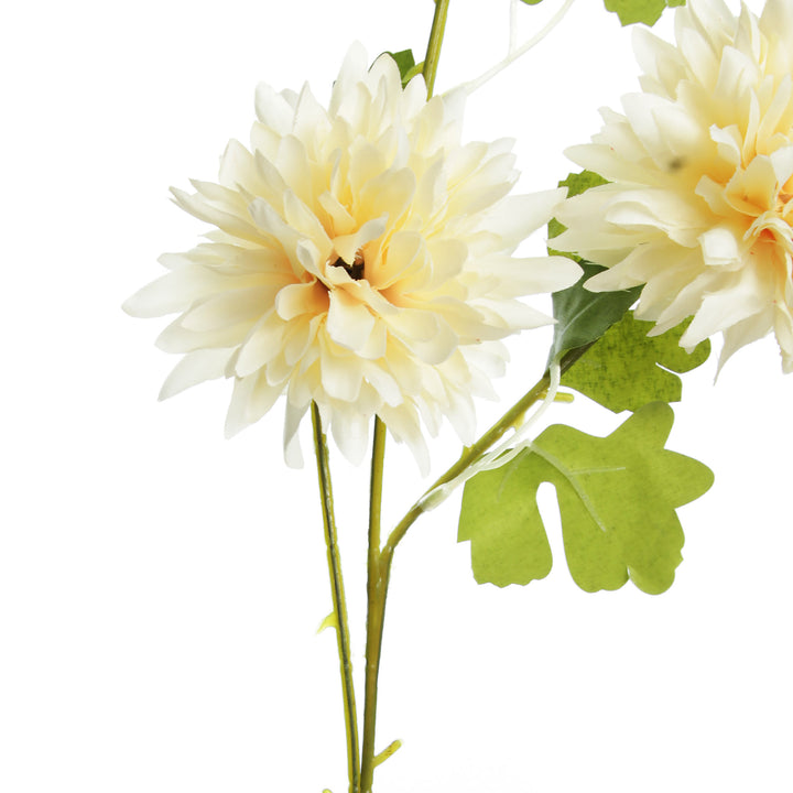 Champagne Chrysanthemum Flower Spray Stem Detail