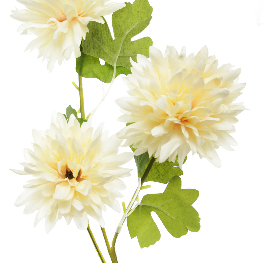 Champagne Chrysanthemum Flower Spray Head Detail