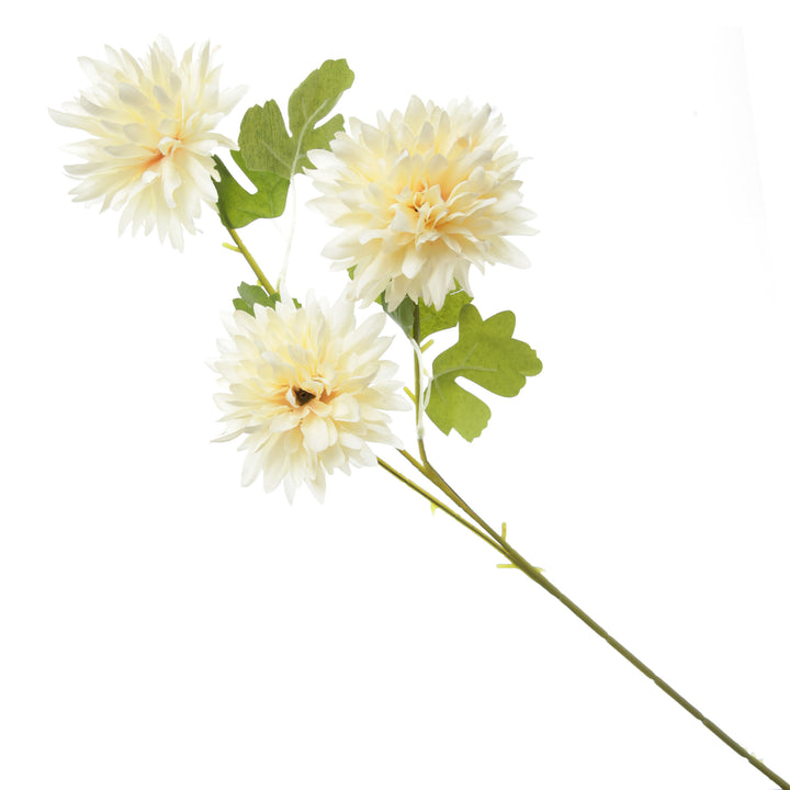 Champagne Chrysanthemum Flower Spray