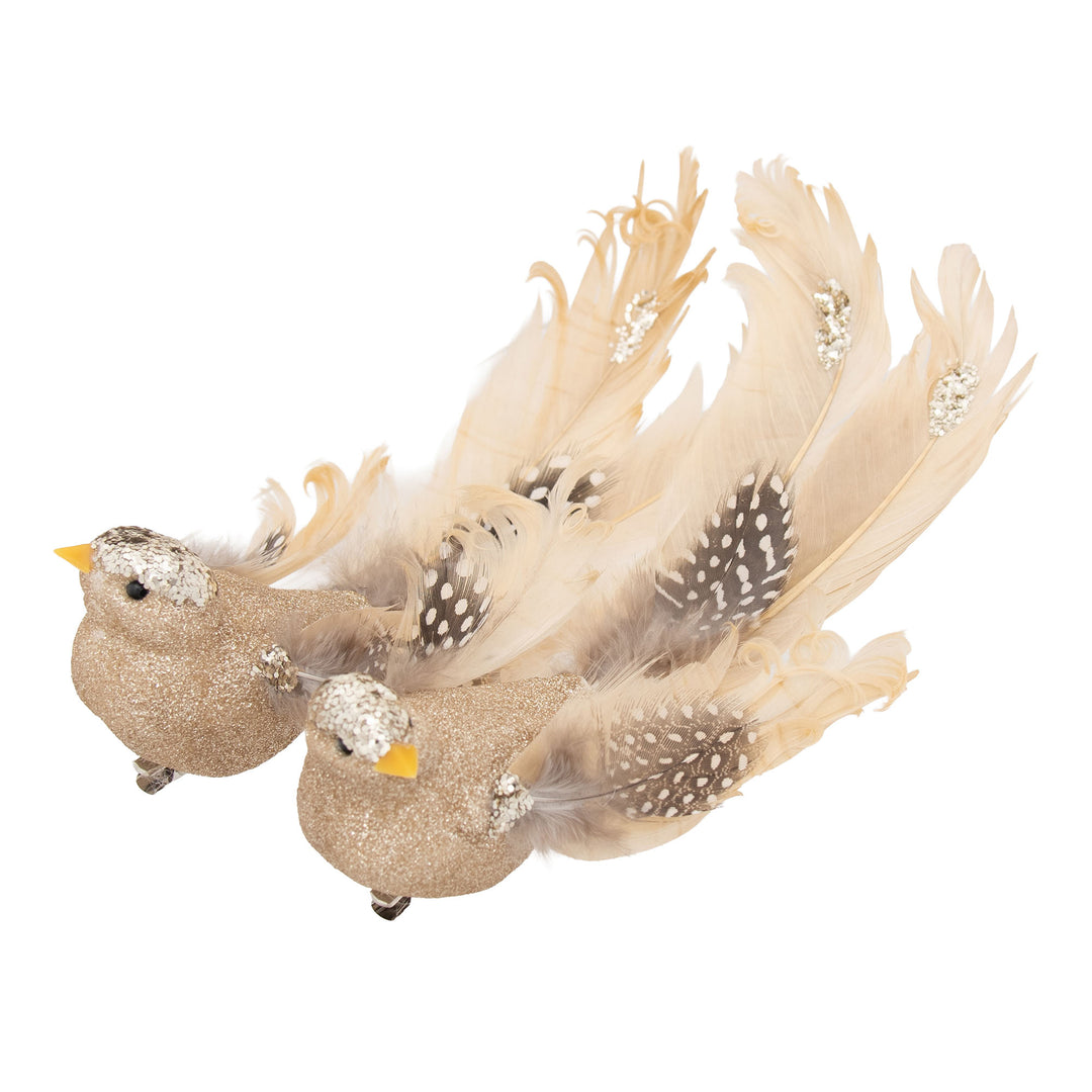 Champagne Glitter and Feather Bird Clip - Assorted