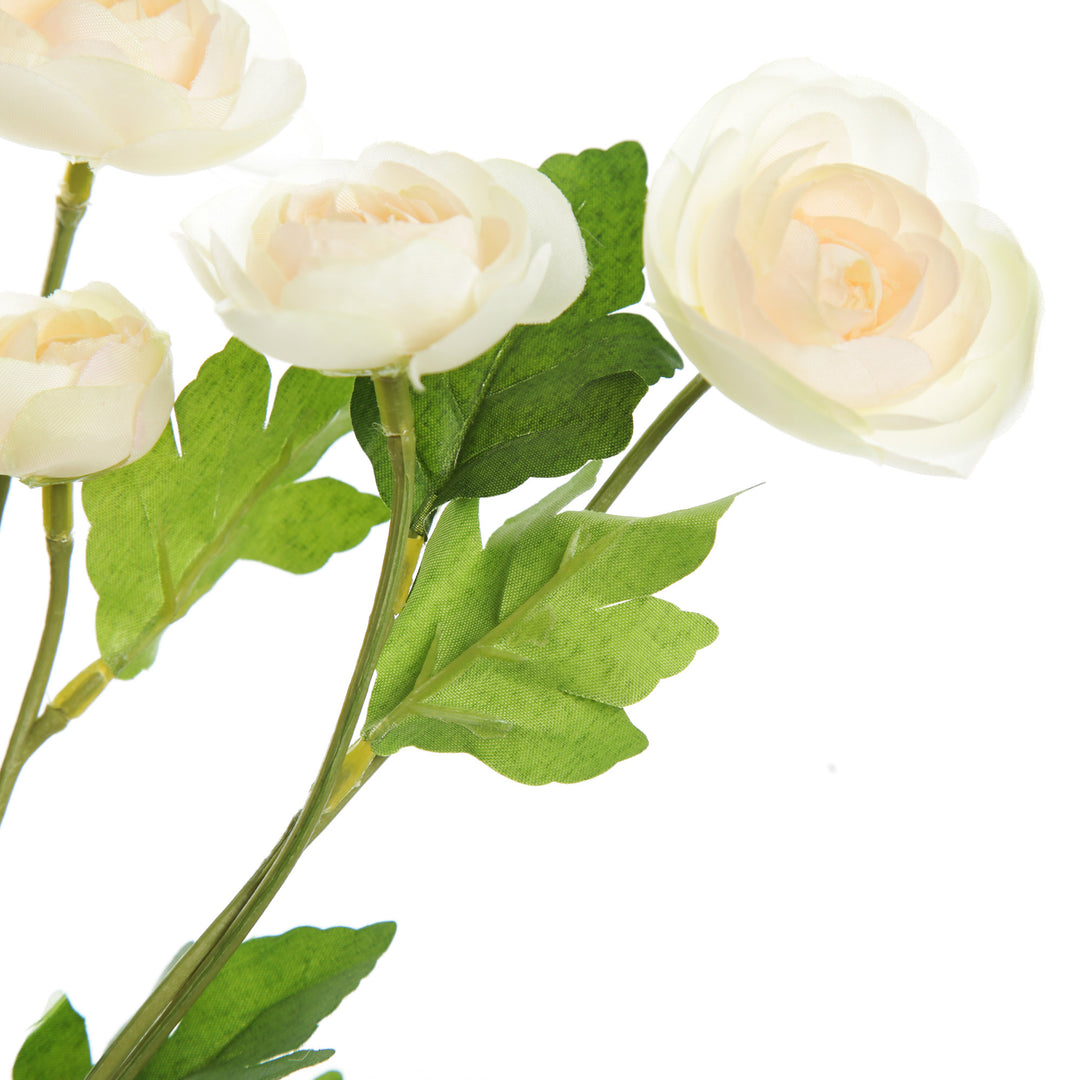 Champagne Mini Ranunculus Flower Spray Flower Close Up