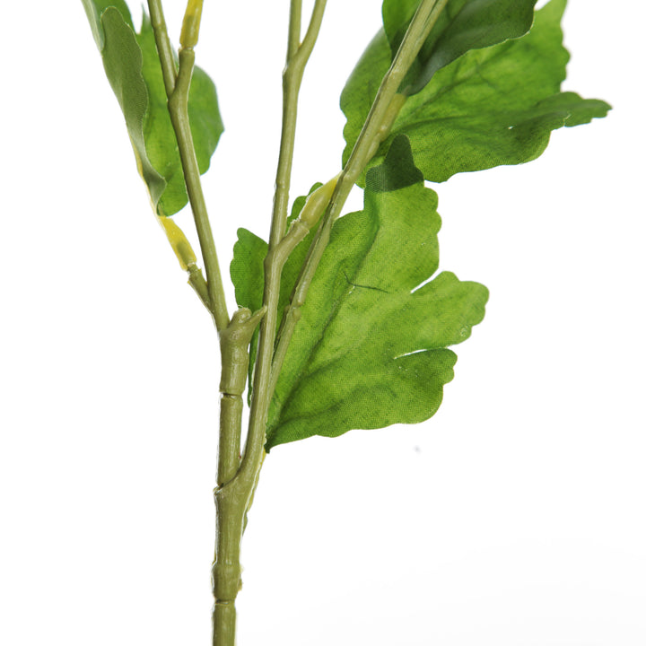 Champagne Mini Ranunculus Flower Spray Stem
