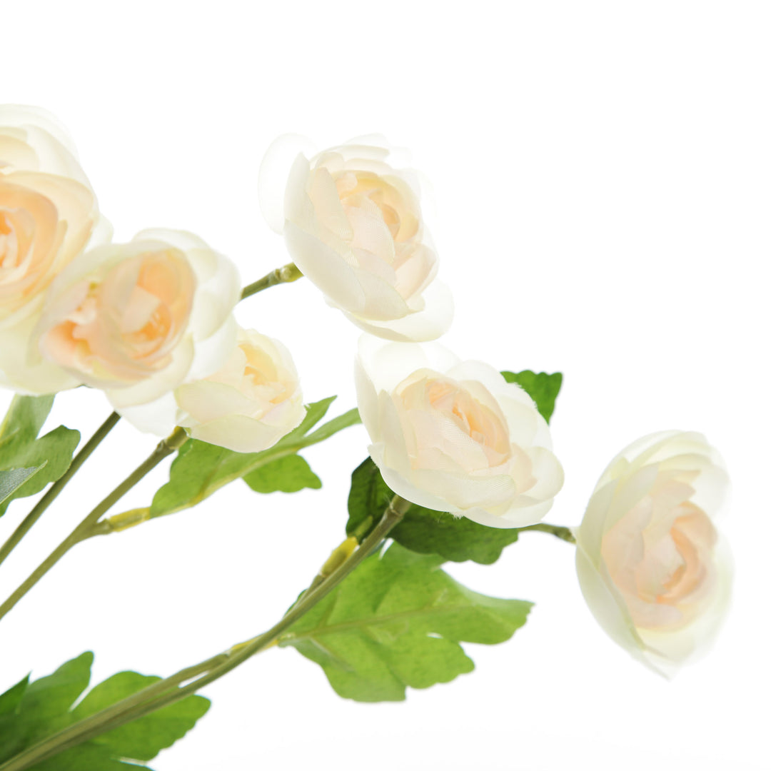 Champagne Mini Ranunculus Flower Spray Flower Detail