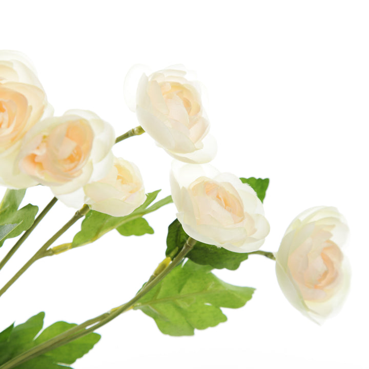 Champagne Mini Ranunculus Flower Spray Flower Detail