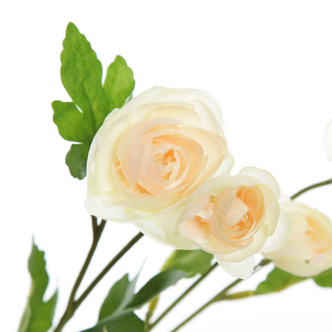 Champagne Mini Ranunculus Flower Spray Detail
