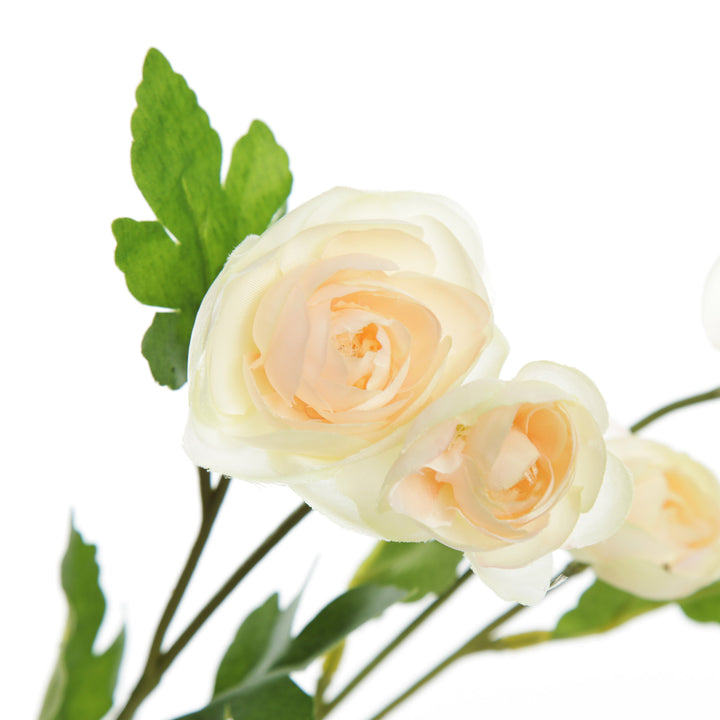 Champagne Mini Ranunculus Flower Spray Detail