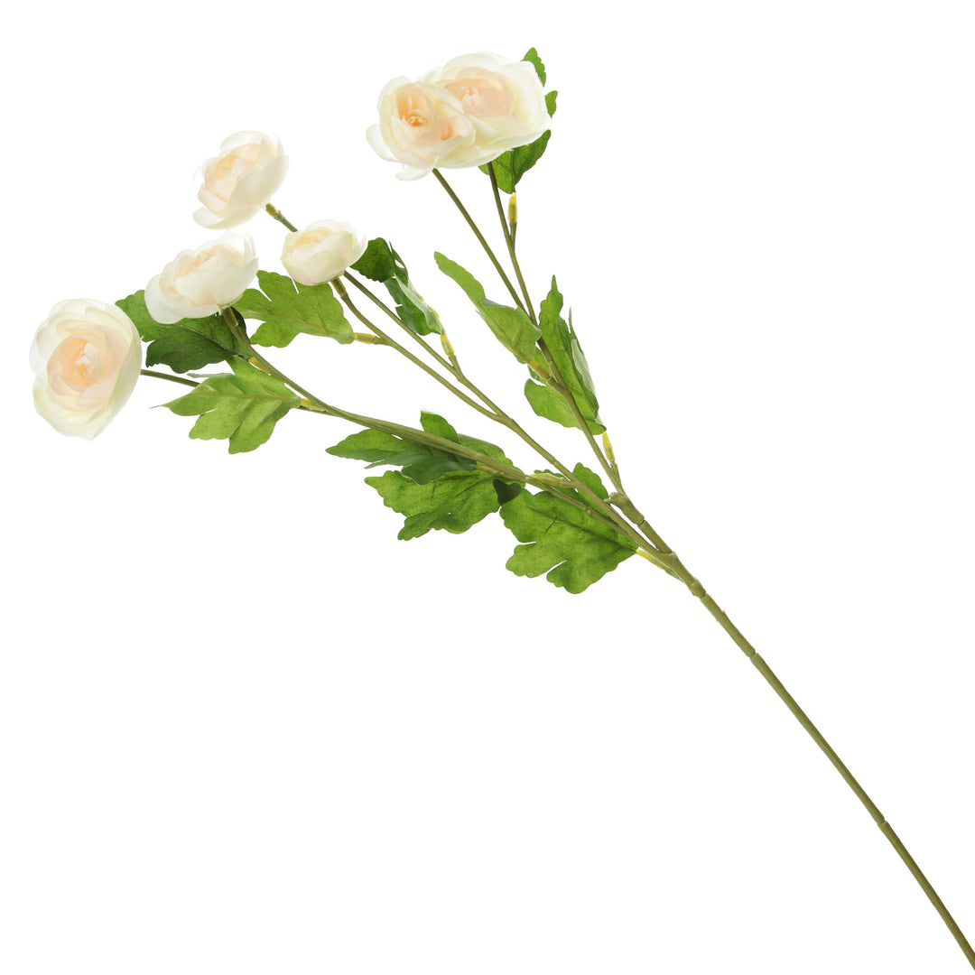 Champagne Mini Ranunculus Flower Spray Full