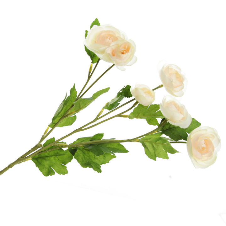 Champagne Mini Ranunculus Flower Spray