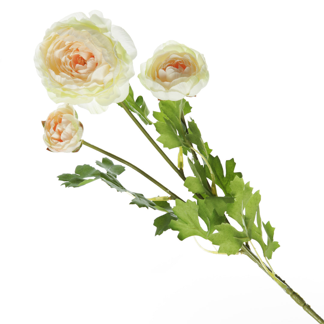 Champagne Ranunculus Flower Spray