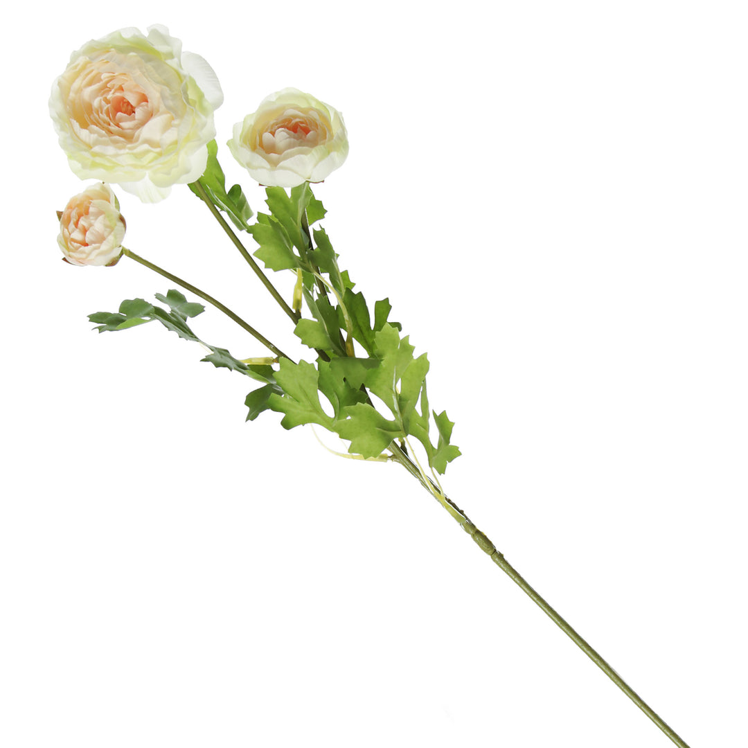 Champagne Ranunculus Flower Spray   
