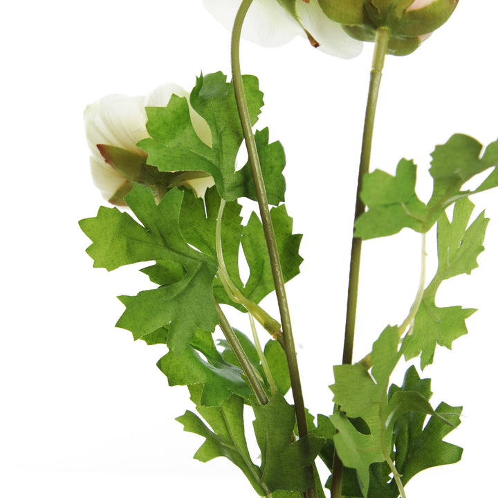 Champagne Ranunculus Flower Spray   

