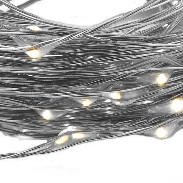 Chrome String Seed Fairy Lights