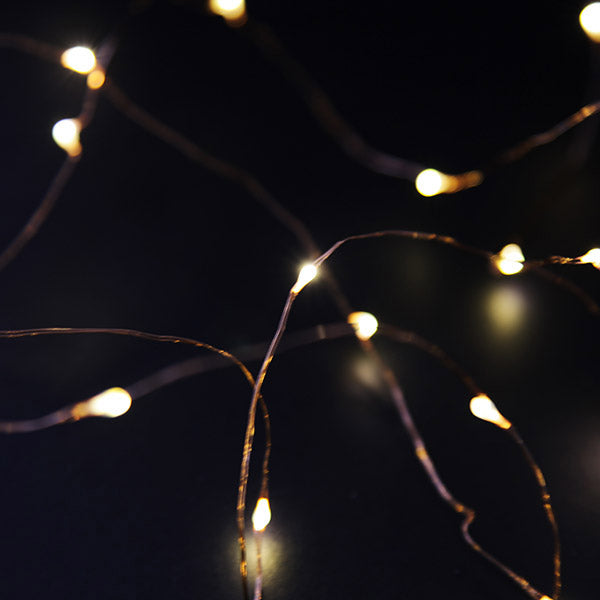 Copper String Seed Fairy Lights