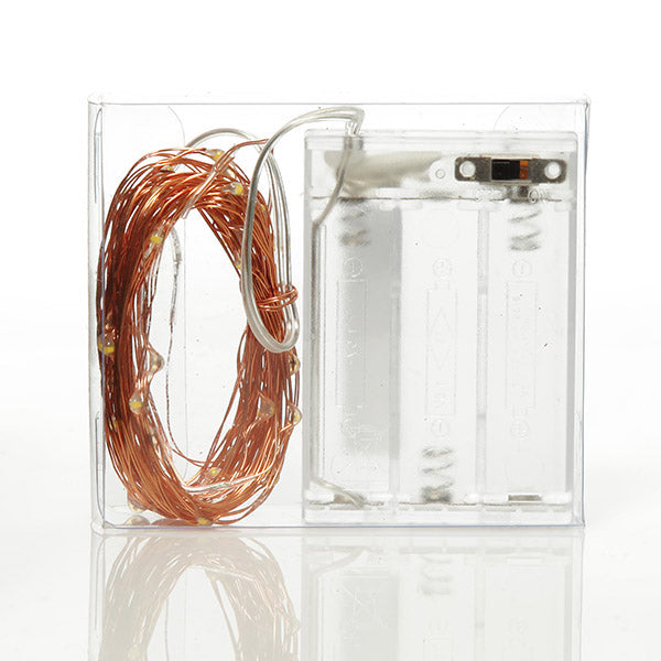 Copper String Seed Fairy Lights