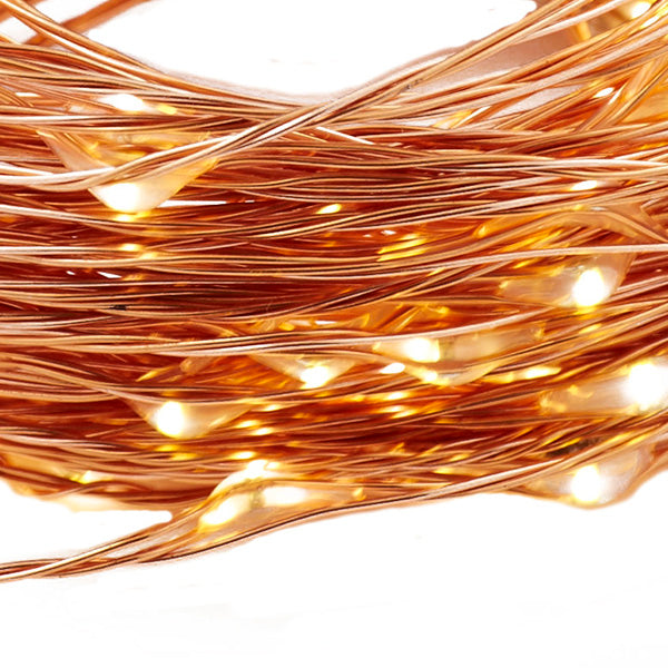 Copper String Seed Fairy Lights