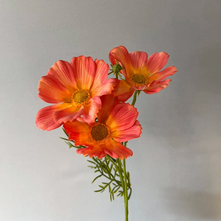 cosmos-spray-large-orange-63cmh