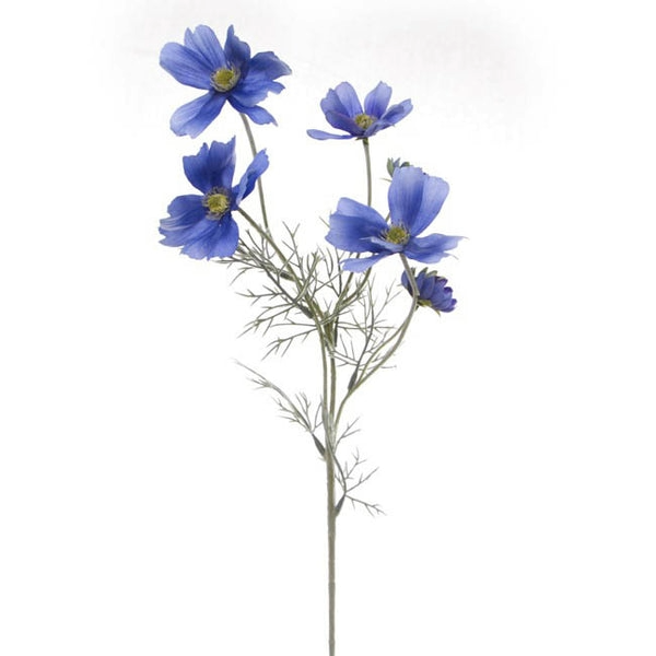cosmos-spray-light-blue-62cmh