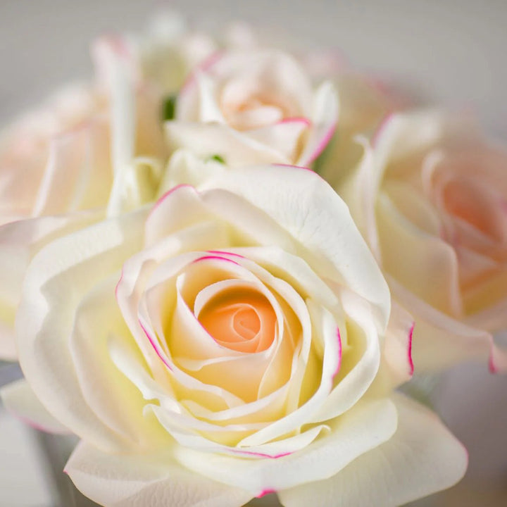 Cote Noire Perfumed Natural Touch 5 roses - Pink Blush
