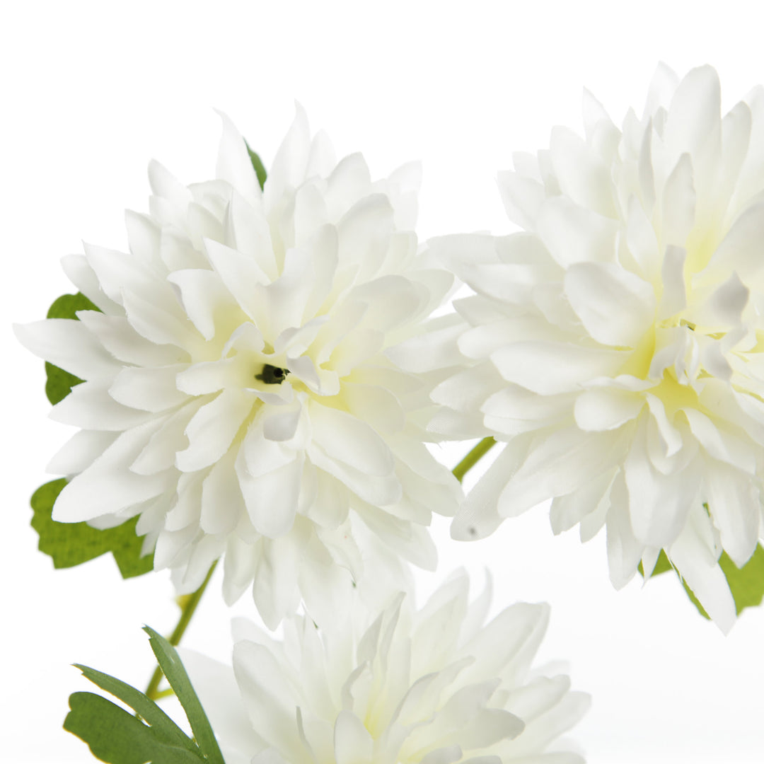 Cream Chrysanthemum Flower Spray Close Up Detail