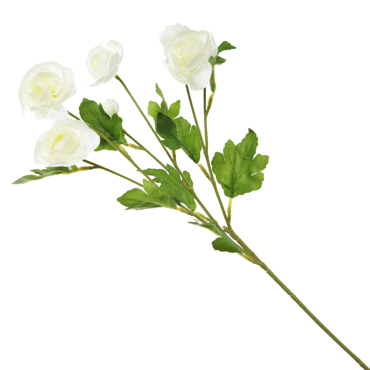 Cream Mini Ranunculus Flower Spray