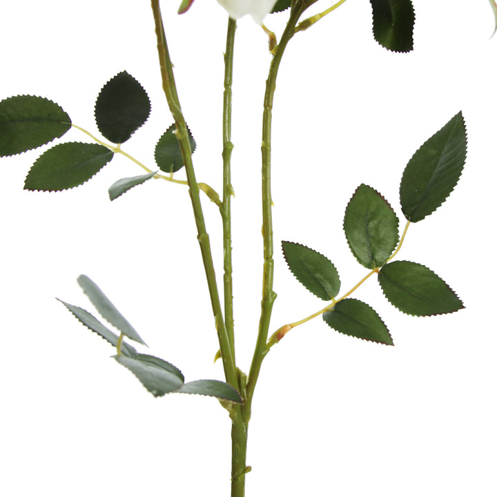 Cream Rose Flower Spray Stem Detail