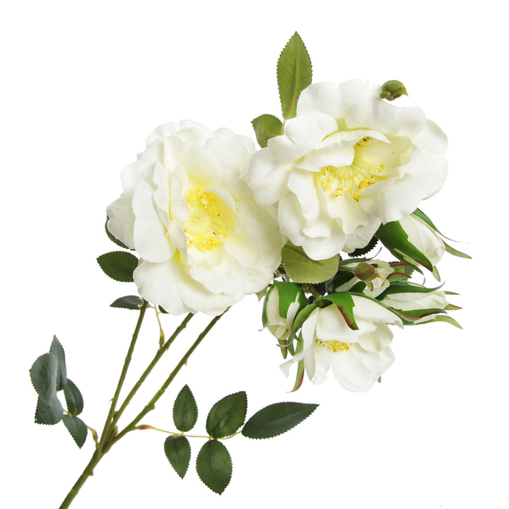 Cream Rose Flower Spray Head