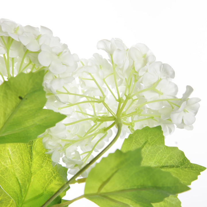 Cream Snow Ball Hydrangea Spray - White flower zoomed in