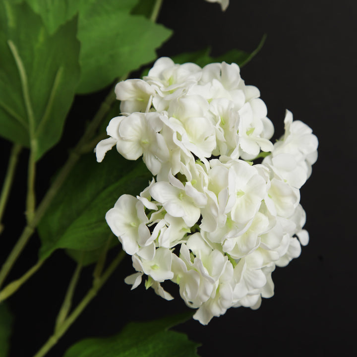 Cream Snow Ball Hydrangea Spray - Inspirational Image