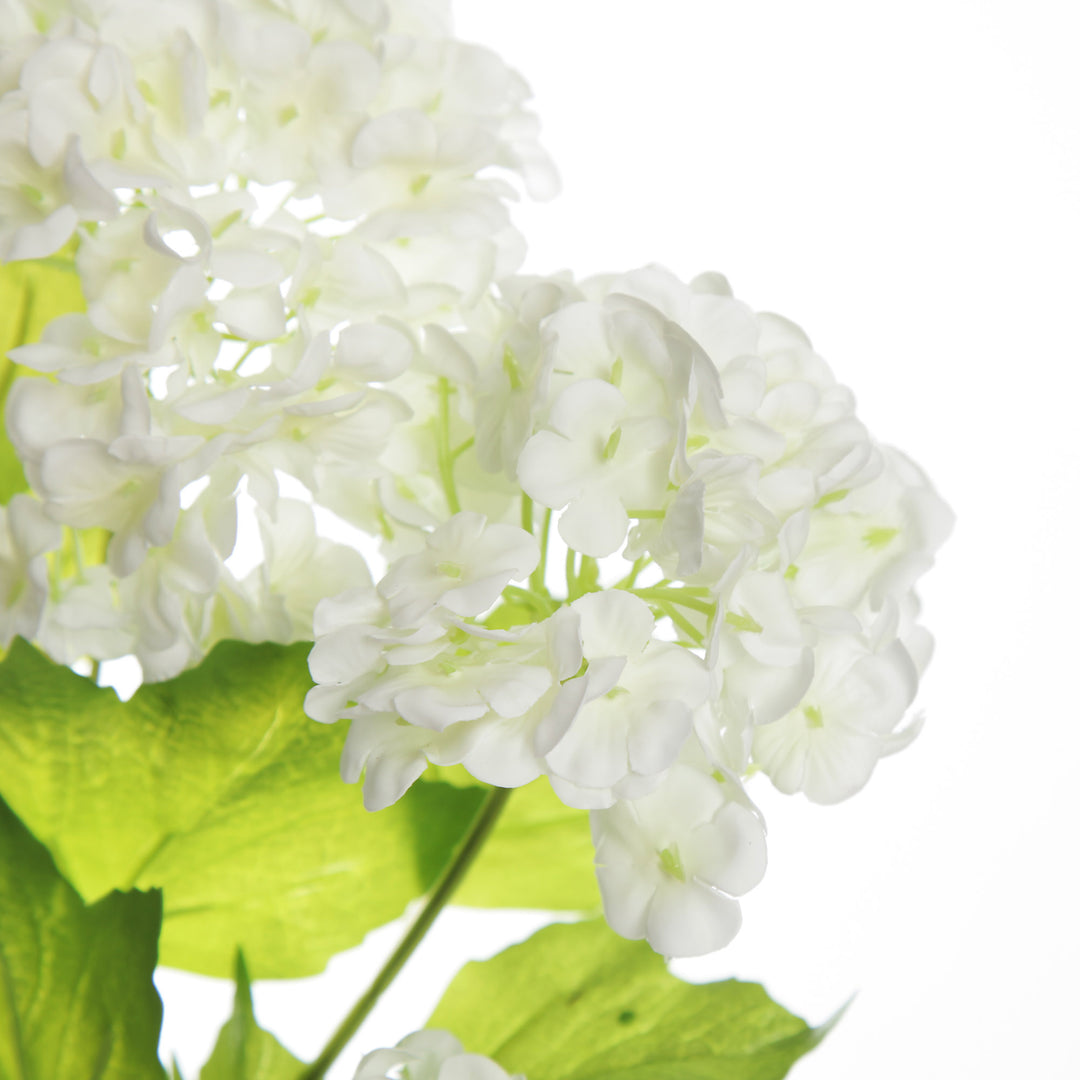 Cream Snow Ball Hydrangea Spray