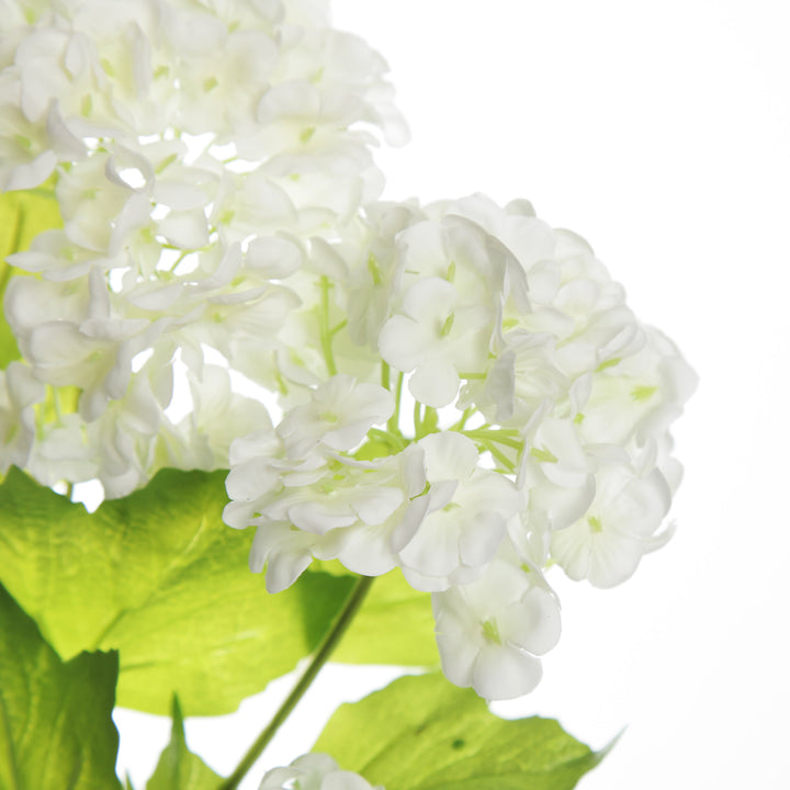 Cream Snow Ball Hydrangea Spray