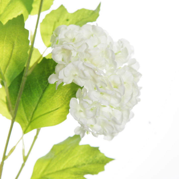 Cream Snow Ball Hydrangea Spray