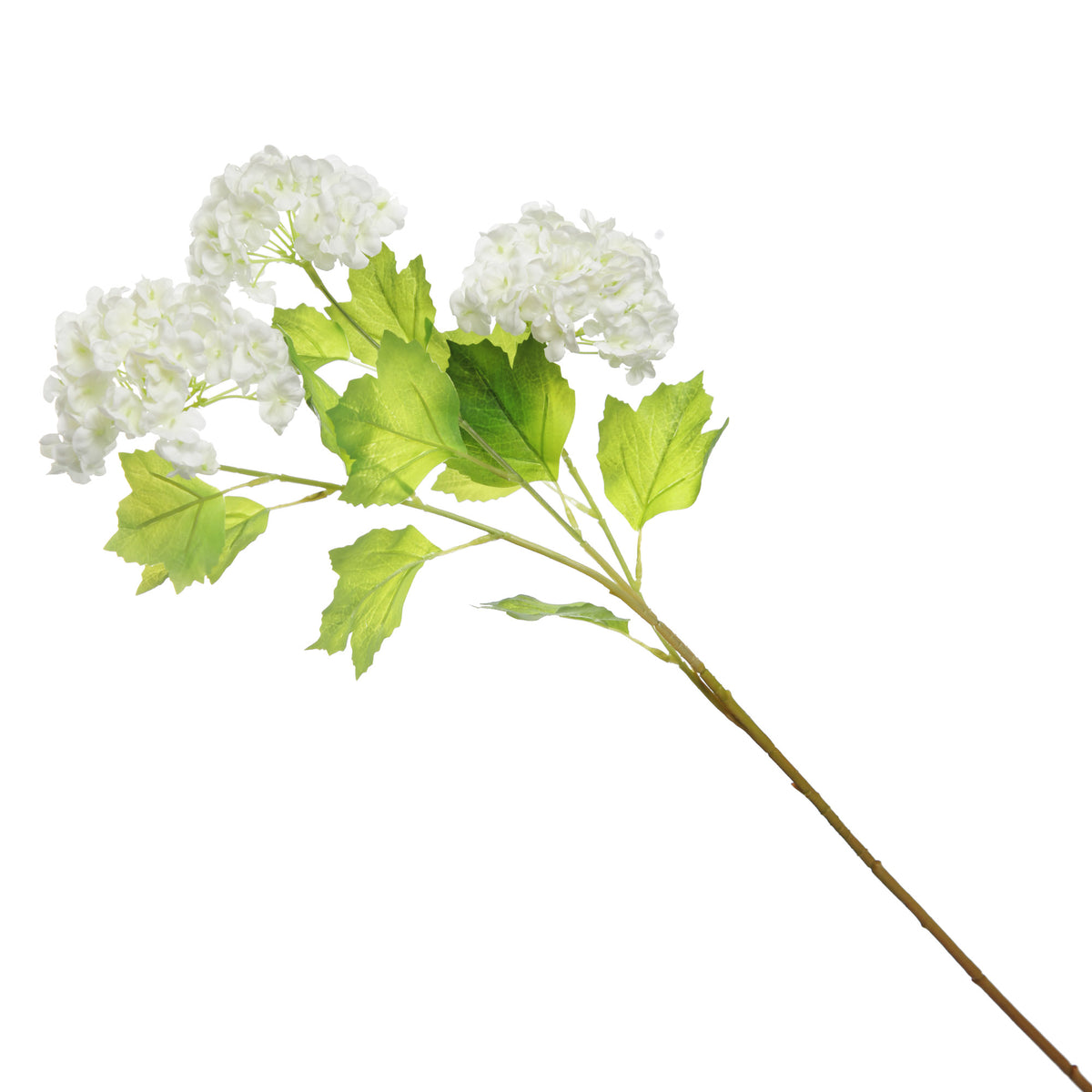 Cream Snow Ball Hydrangea Spray Whole image