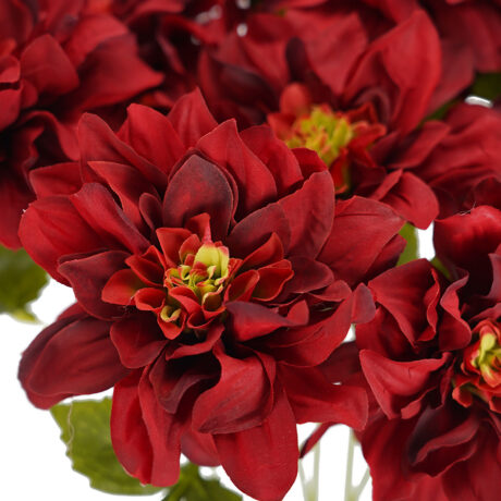 Dahlia Bunch Red