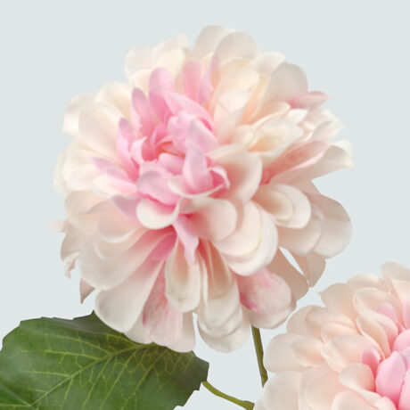 Wild Dahlia Spray Pink 62cm