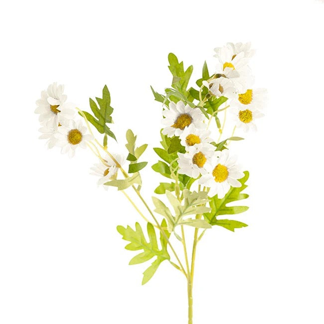 Daisy Spray Flowers - White (63cmH)