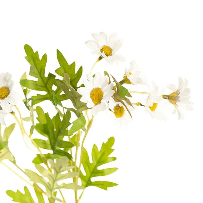 Daisy Spray Flowers - White (63cmH)