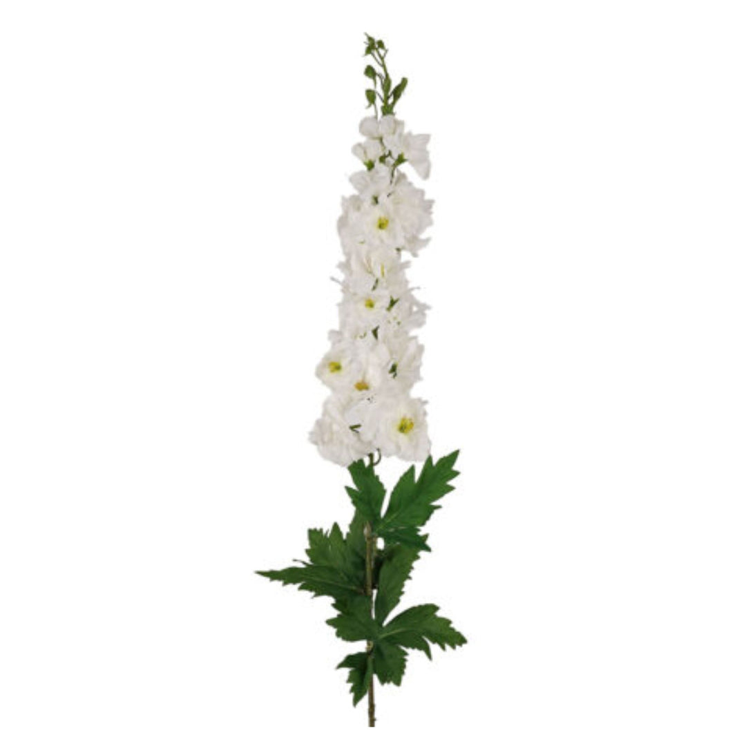 Delphinium Stem Cream 90cm