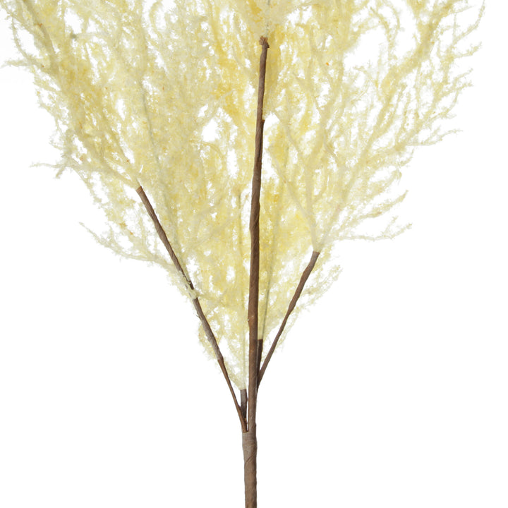 Dried Cream Astilbe Stem