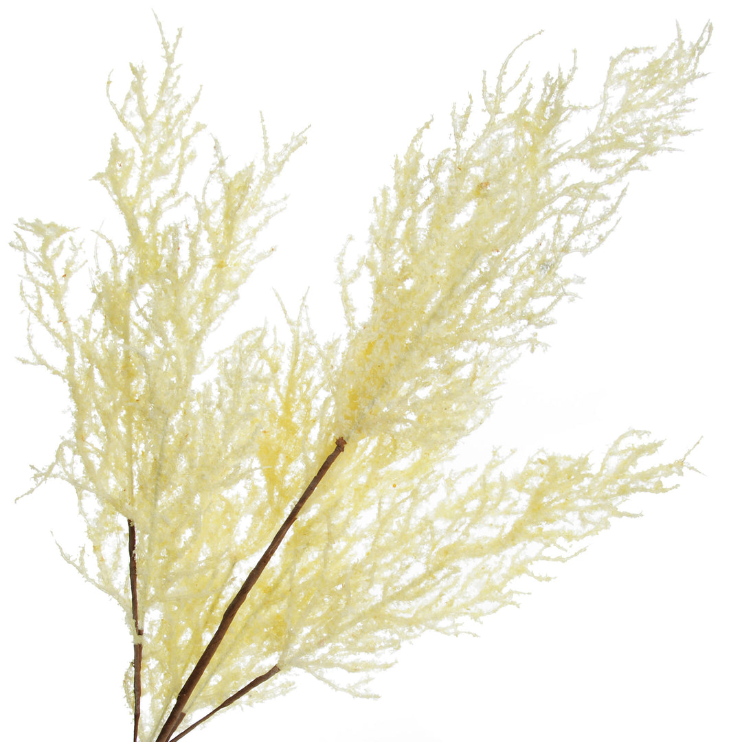 Dried Cream Astilbe Stem