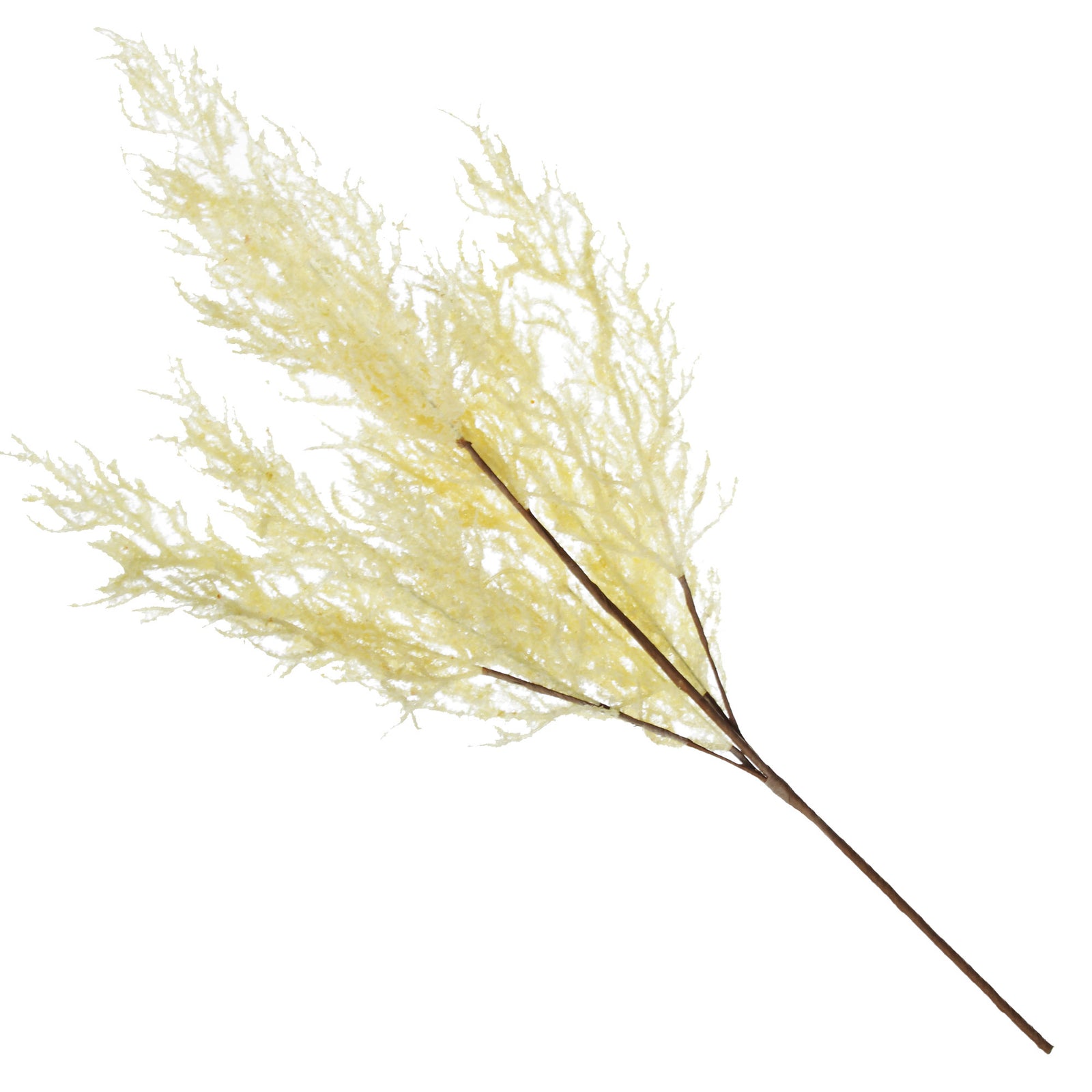 Dried Cream Astilbe Stem