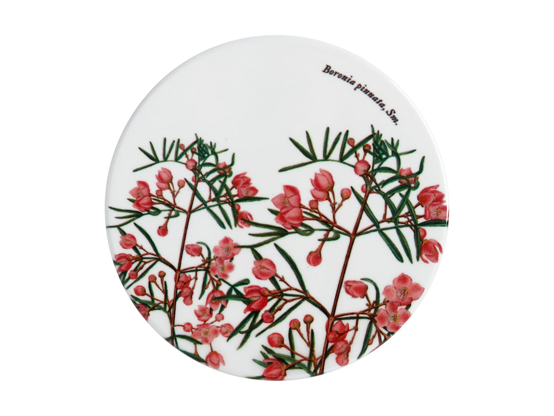 Maxwell and Williams - Royal Botanic Gardens Coaster - Boronia 9.5cm