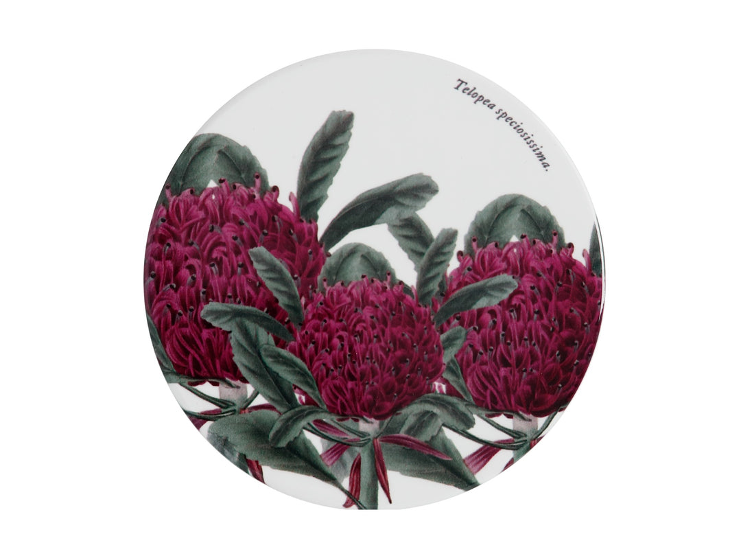 Maxwell &amp; Williams - Royal Botanic Gardens Coaster - Telopea 9.5cm