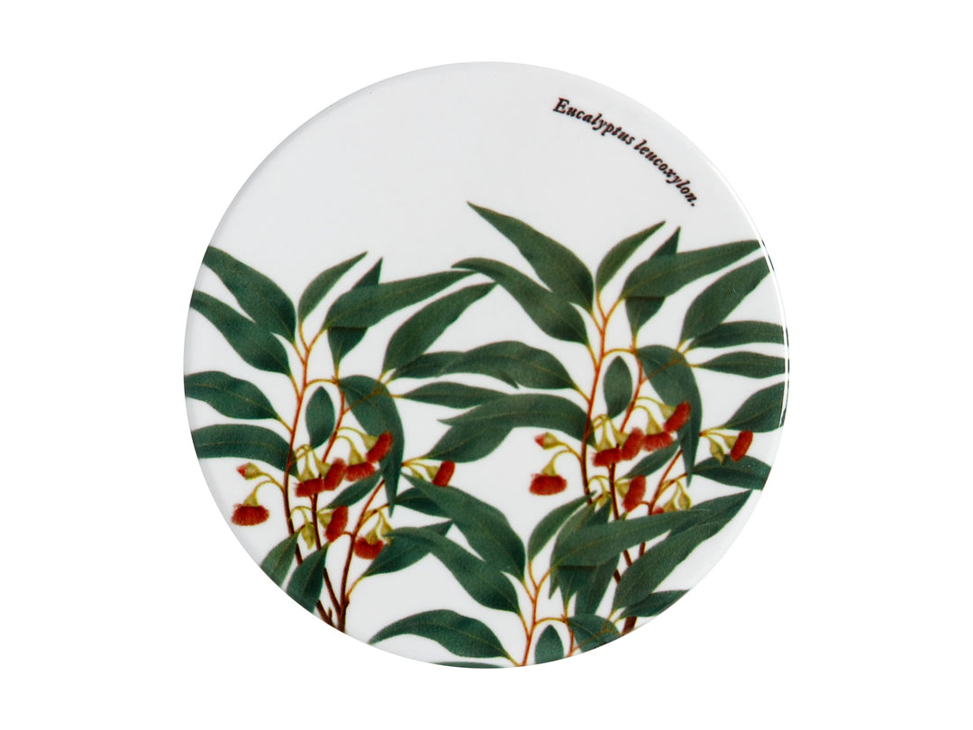 Maxwell &amp; Williams Royal Botanic Gardens Coaster Flowering Gum 9.5cm