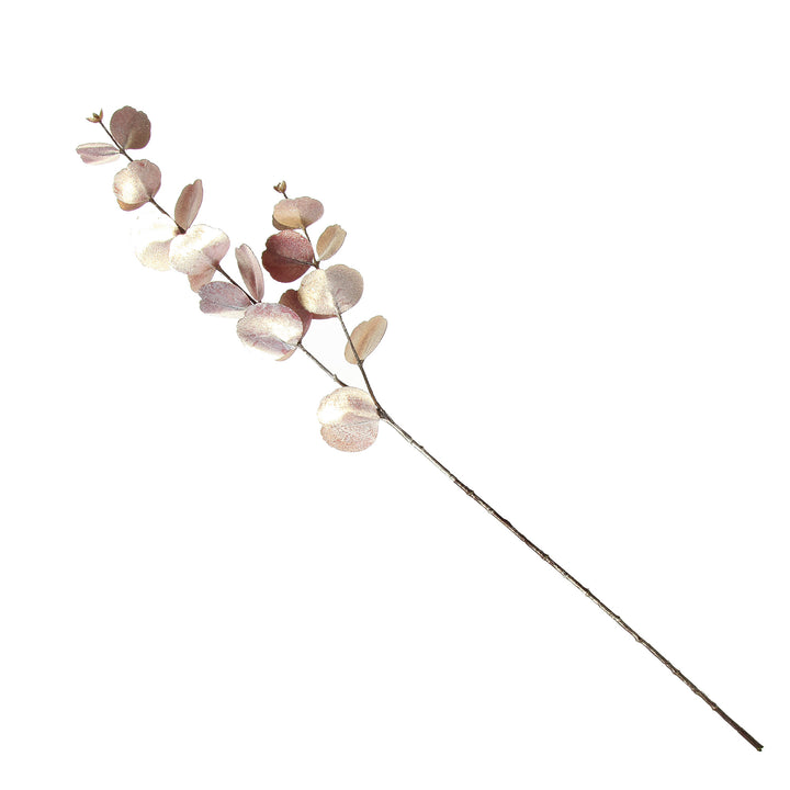 Dusky Pink Round Leaf Eucalyptus Dollar Gum Spray