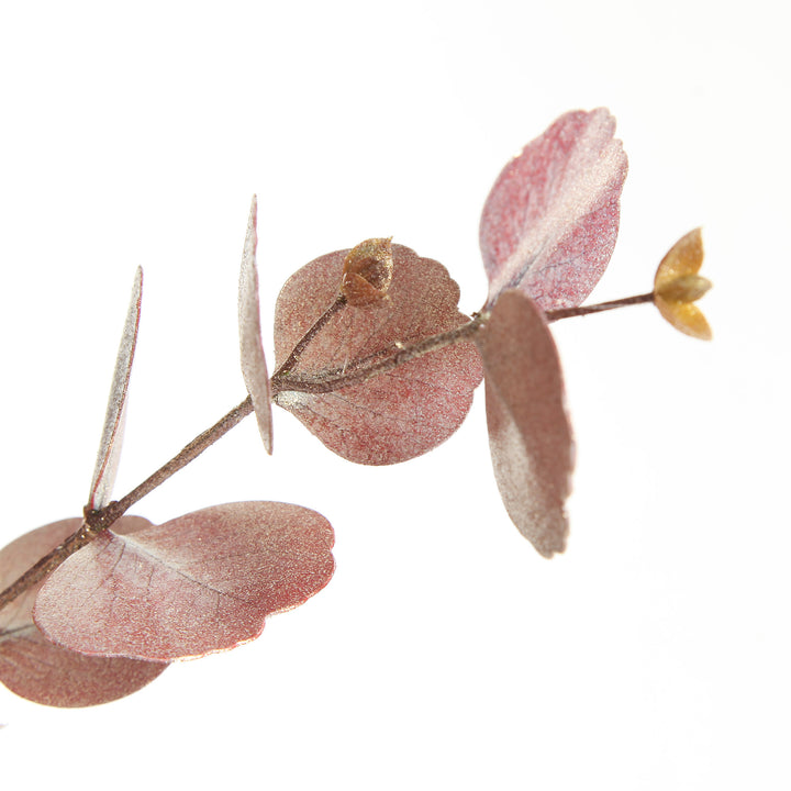 Dusky Pink Round Leaf Eucalyptus Dollar Gum Spray