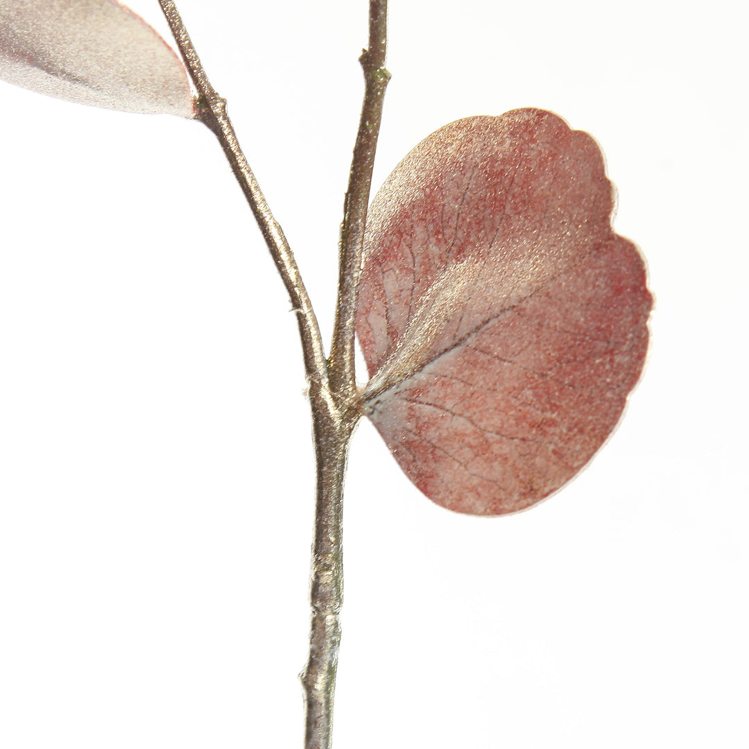 Dusky Pink Round Leaf Eucalyptus Dollar Gum Spray