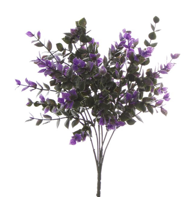 Purple Eucalyptus Bunch