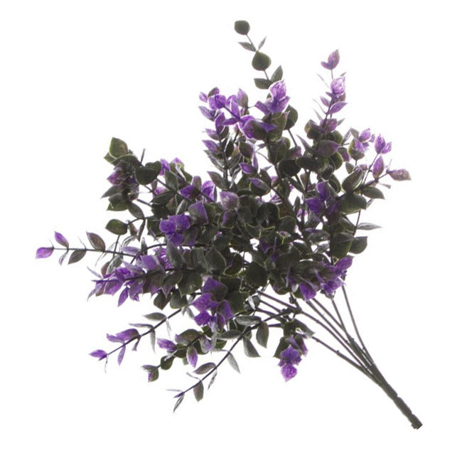 Purple Eucalyptus Bunch