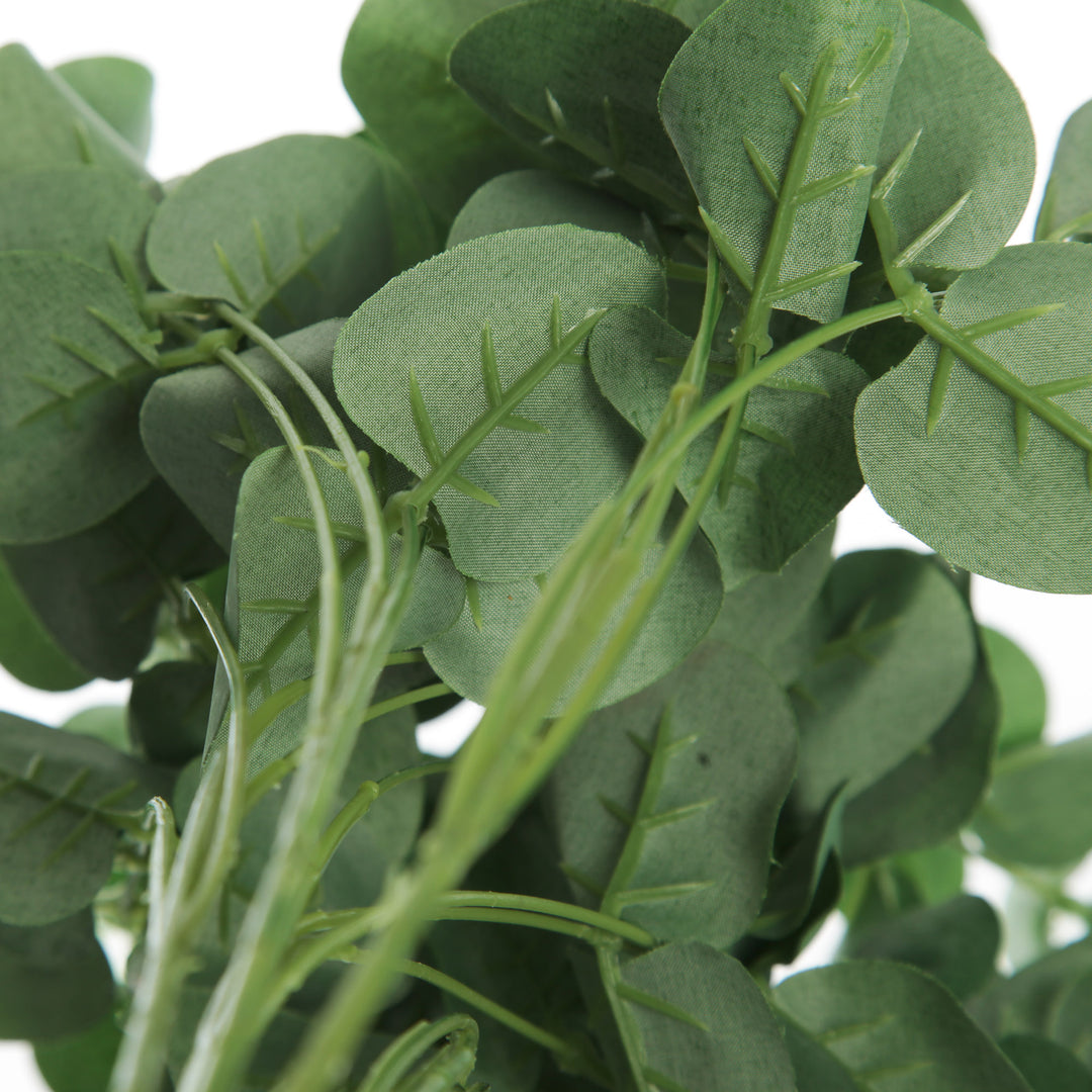 Eucalyptus Bush Spray - Leaves detailed